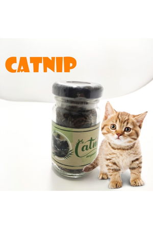 Catnip Natural Catnip - Catnip