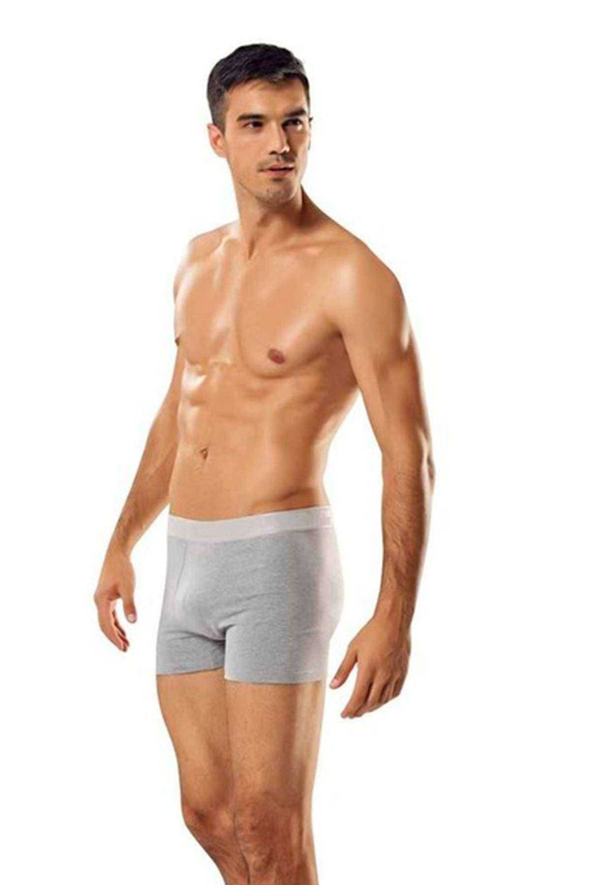 3 pcs Lycra Men's Gray Boxers 0114