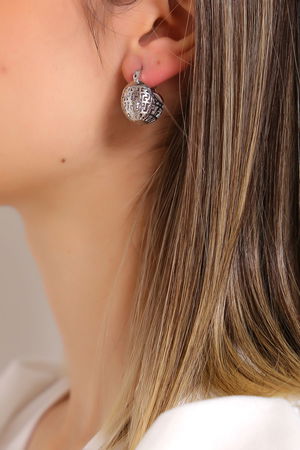 Steel Earrings Silver