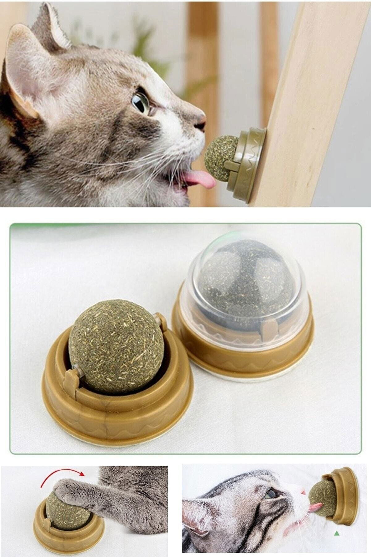 Wall Sticking Spinning Catnip Cat Play Ball Natural Cat Toy