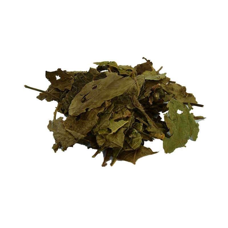 Walnut Leaf Natural 100 Gr Package