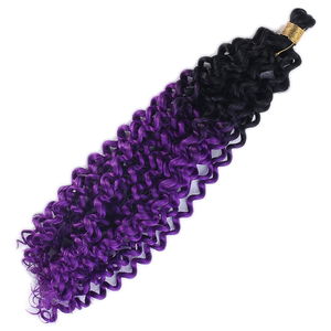 Afro Wavy Hair / Black Purple Ombré