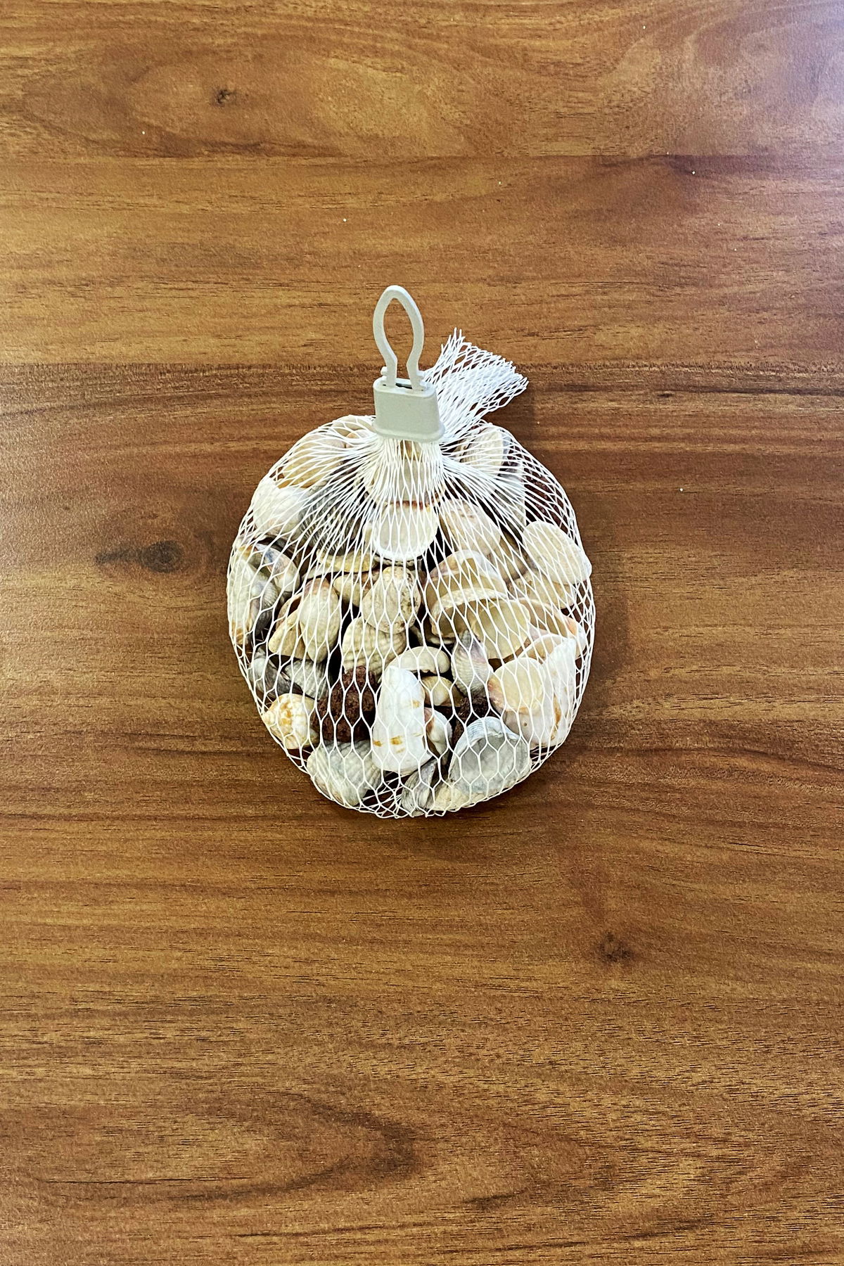 Sea Shell 200gr Mixed Sea Shells Decorative Vase Aquarium Decoration Terrarium Sea Shells