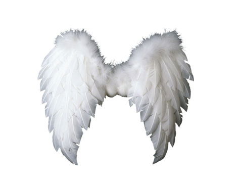 Angel Wing Giant Size - White