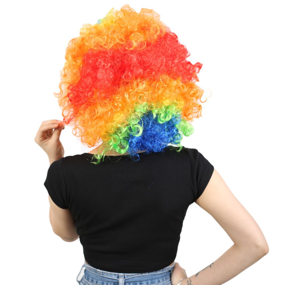 Animation Party And Clown Wig / Colorful