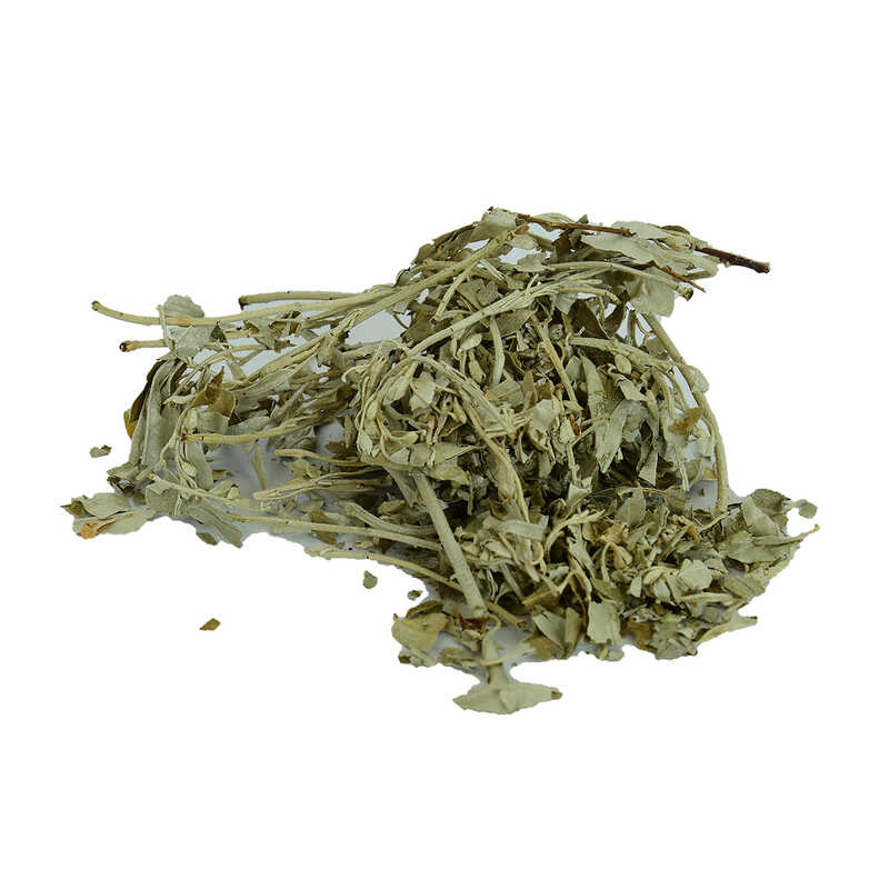 Natural 100 Gr Packet of Needle Leaves