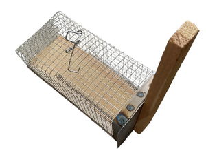 Mouse Trap Cage Type