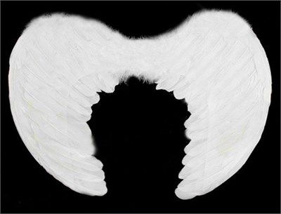 White Color Small Size Baby Angel Wing 25x45 cm