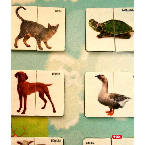 Part Whole Matching - Pets Felt Felt Velcro Wall Board , Educational Toy