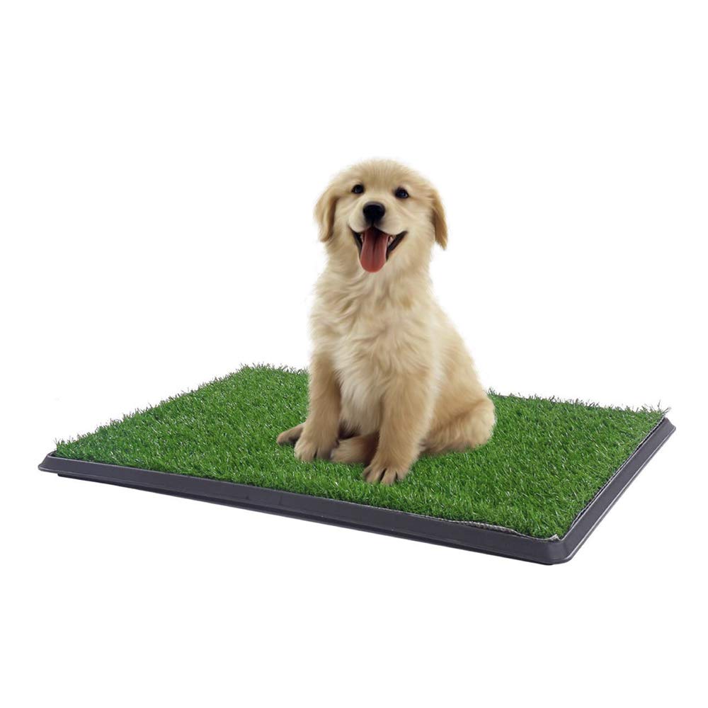 Puppy Dog Toilet Training Park 3 Layers - 45Cm x 32 Cm