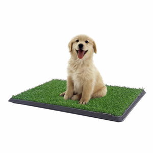 Puppy Dog Toilet Training Park 3 Layers - 45Cm x 32 Cm