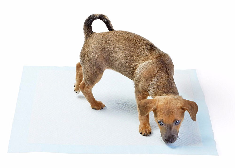 Washable Dog Pee Pad - 90 X 60 Cm