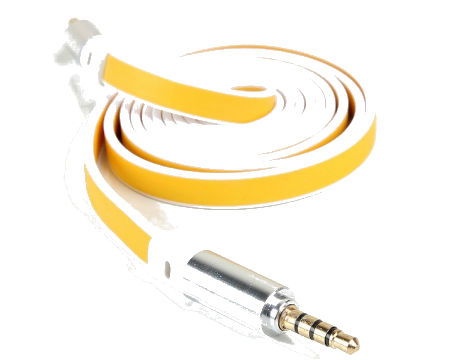 Aux Cable 100 cm