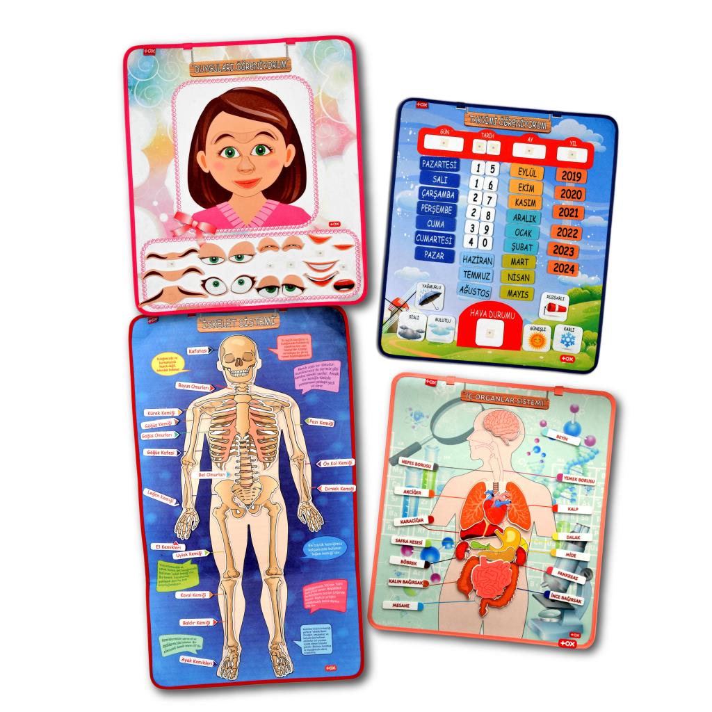 4 Sets of 127 Pieces Skeleton, Internal Organs System, Calendar and Learning Emotions Felt Velcro Wall Boards, Educational Toy