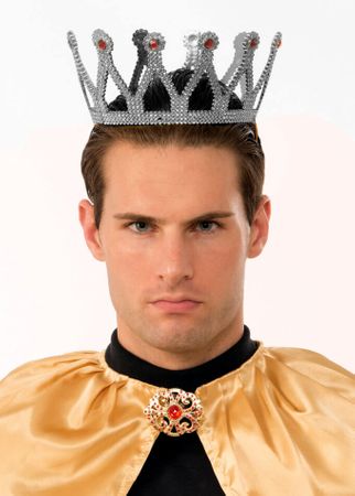 Silver Color Child and Adult Compatible King Crown