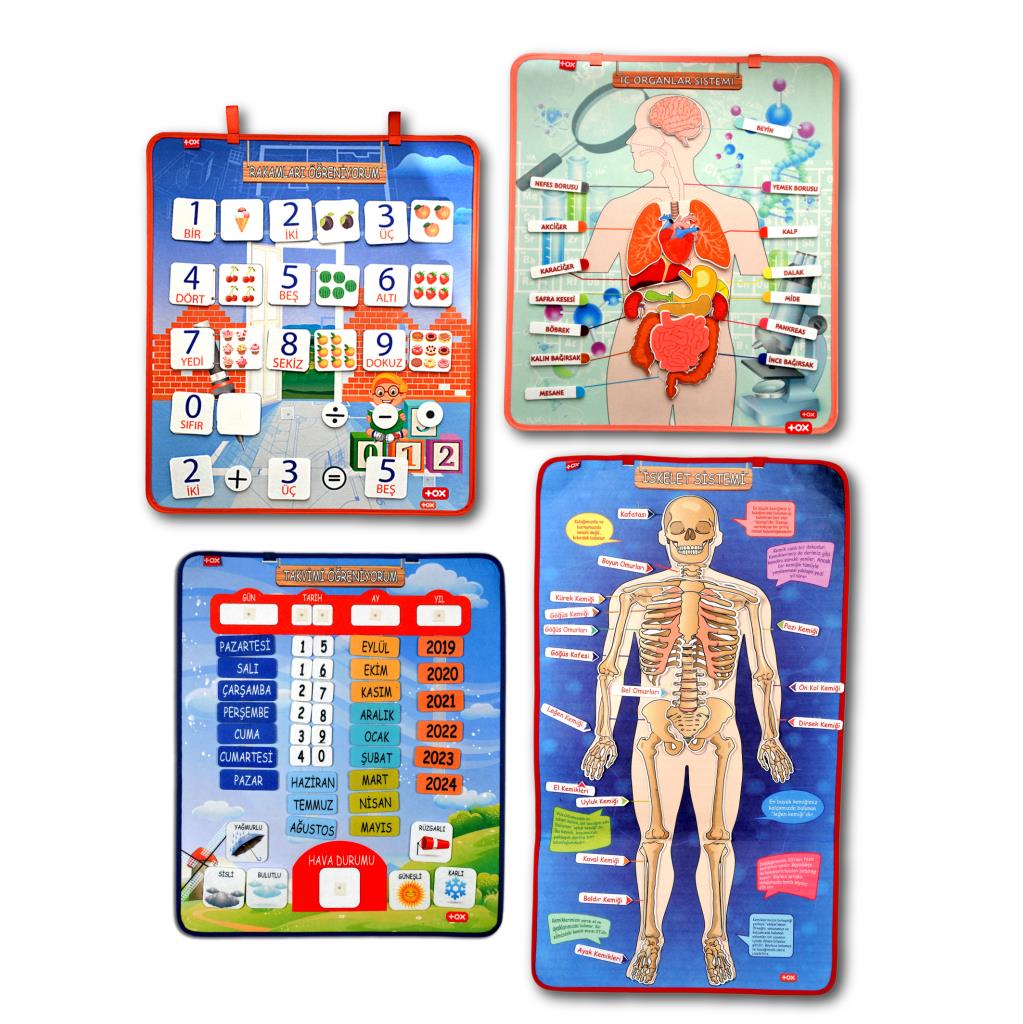 4 Sets - 151 Pieces Skeleton, Internal Organs System, Calendar and Learning Numbers Felt Velcro Wall Boards, Educational Toys