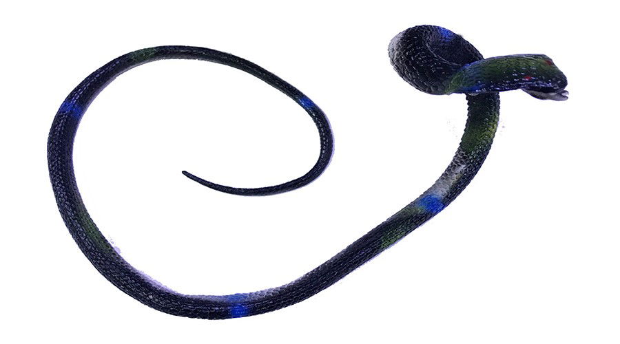 Black Color Realistic Cobra Model Silicone Soft Snake 80 cm