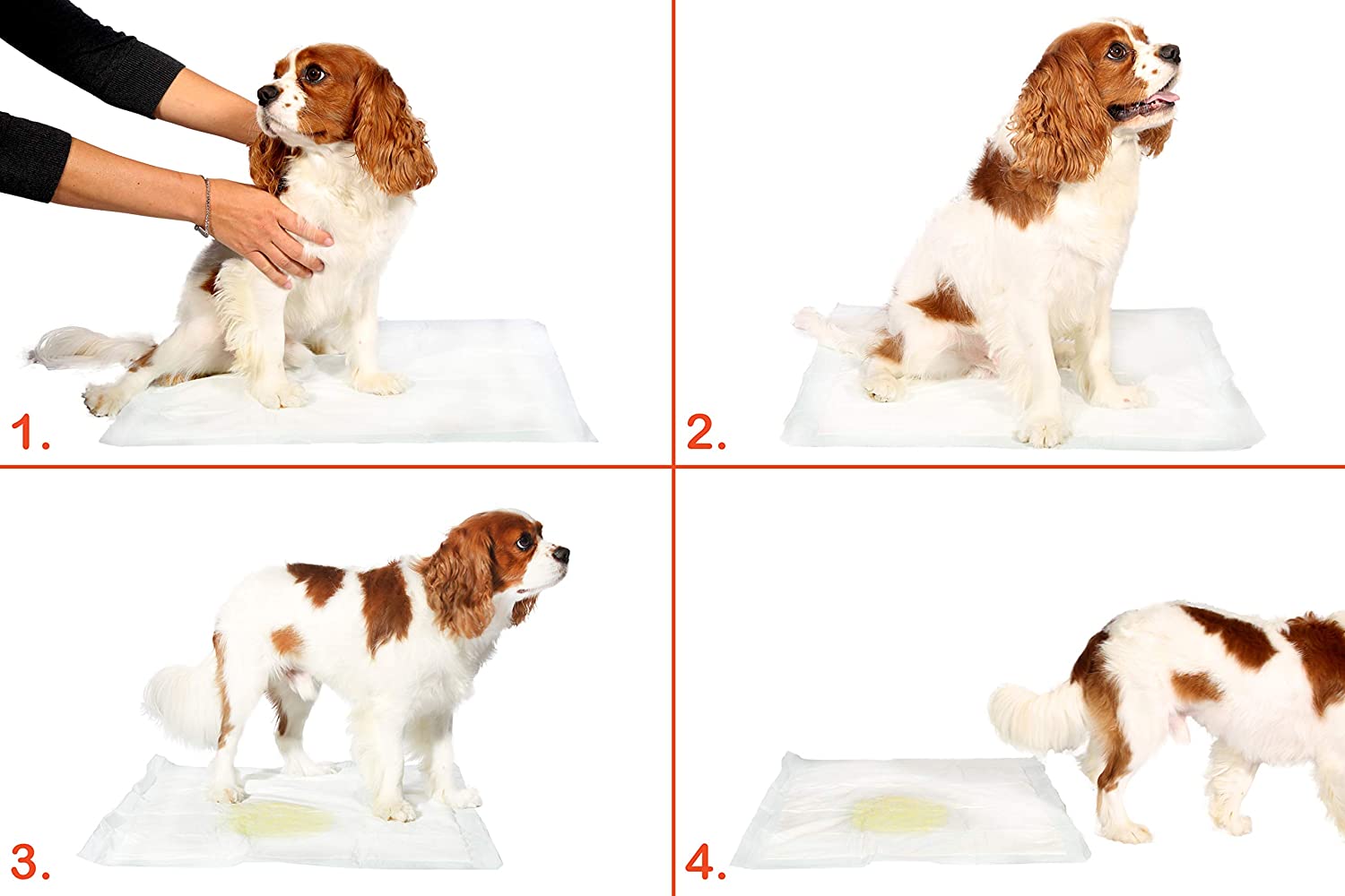 Washable Dog Pee Pad - 100 X 70 Cm 5 Pack