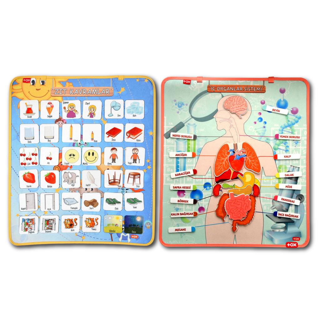 2 Sets - 62 Pieces Internal Organs and Opposite Concepts Felt Velcro Wall Boards , Educational Toys