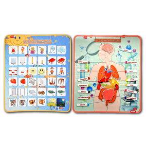 2 Sets - 62 Pieces Internal Organs and Opposite Concepts Felt Velcro Wall Boards , Educational Toys