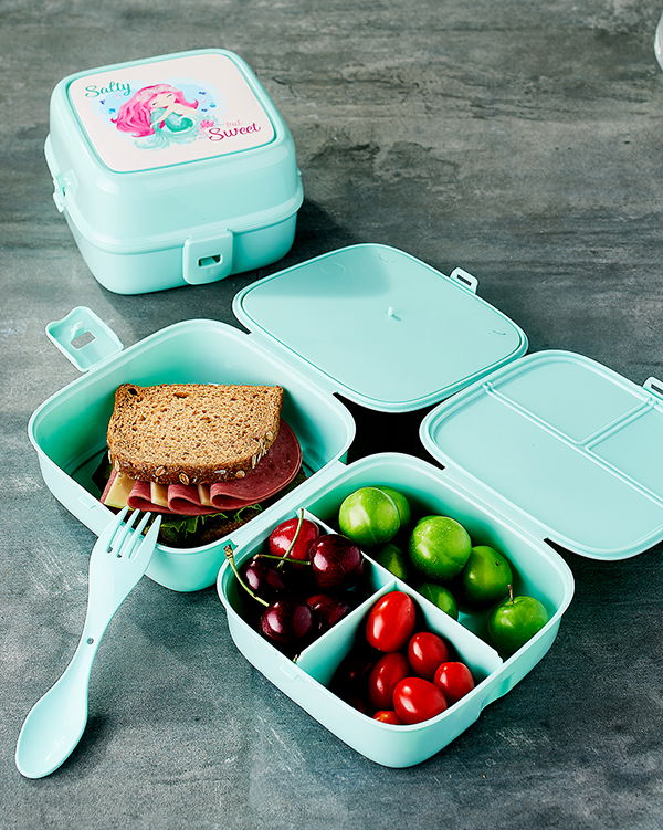 Porky 4 Compartment Nutrition Container with Fork - Diet Container