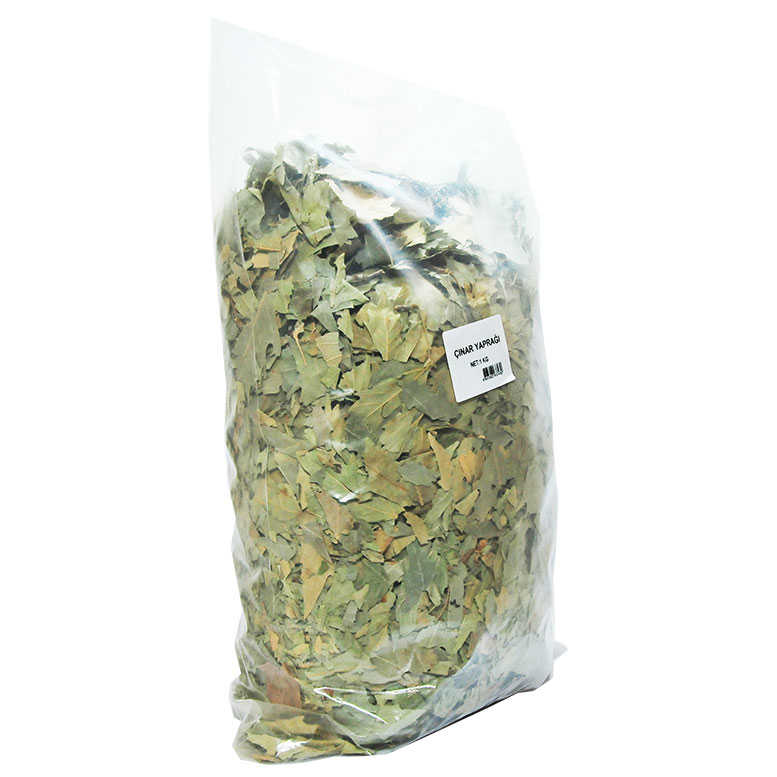 Natural Sycamore Leaves 1000 Gr Package