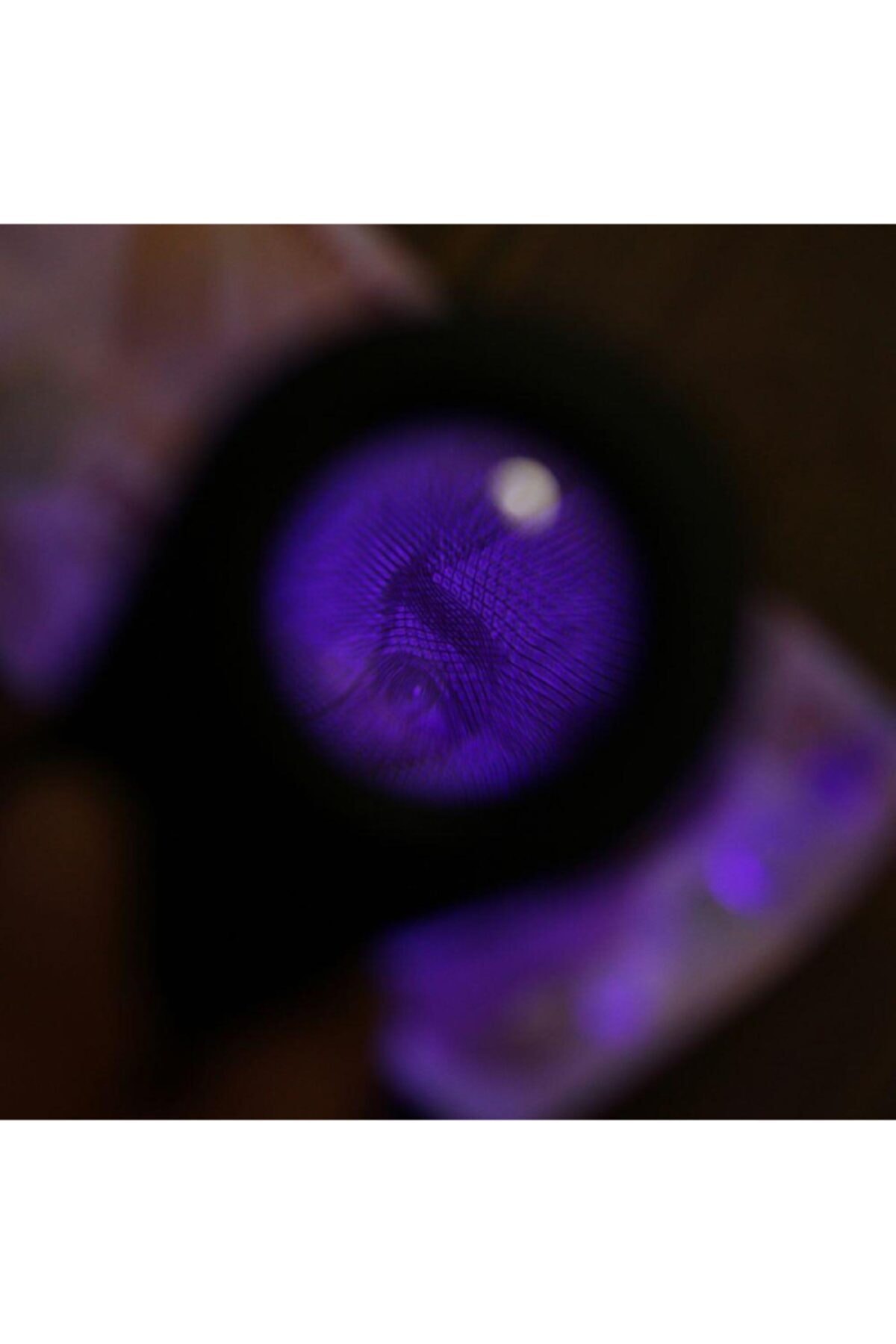 Counterfeit Money Checking Lighted Magnifying Flashlight