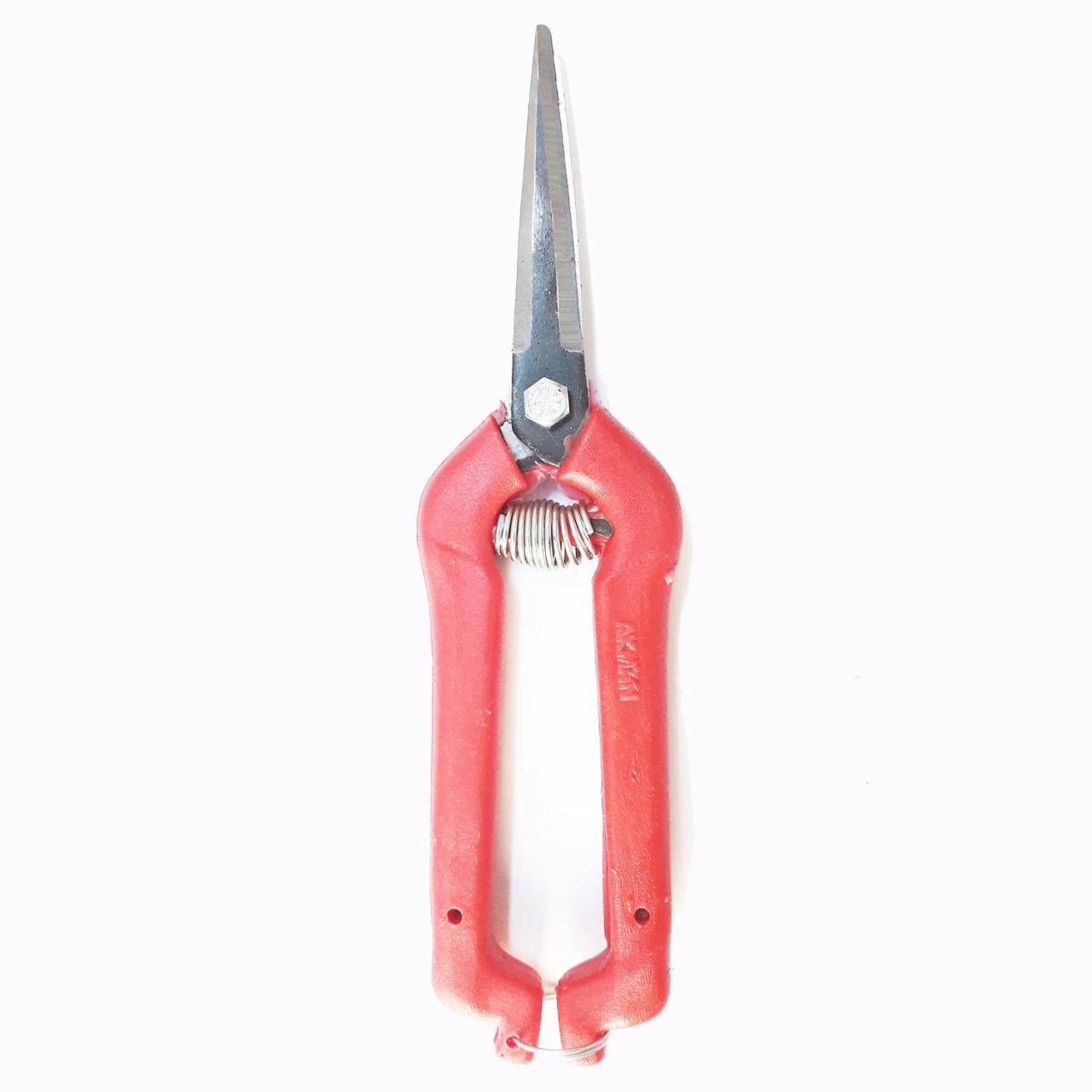 Grape and Citrus Shears Pointed