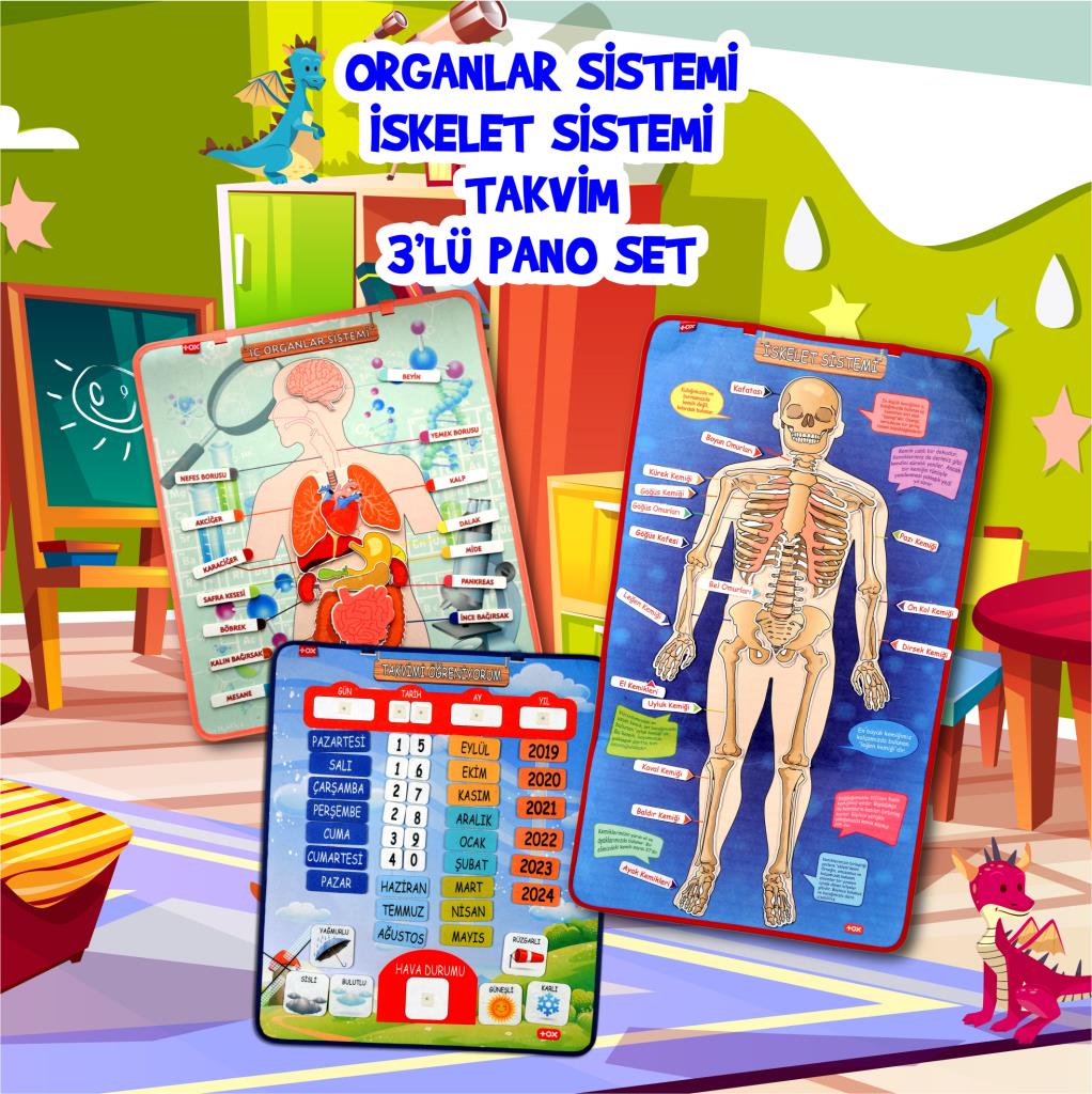 3 Sets -106 Pieces Internal Organs, Skeletal System and Calendar Learning Felt Velcro Wall Boards, Educational Toys