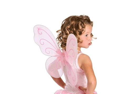 Demonstration Butterfly Wing (3 Piece)-Pink