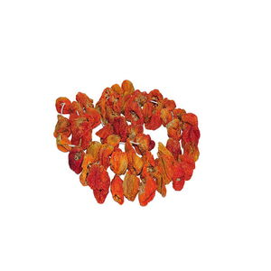 Dried Dolma Pepper 1 Series 20-25 Pieces