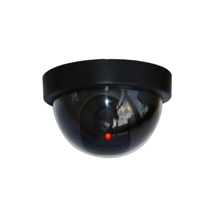 Deterrent Dome Security Camera