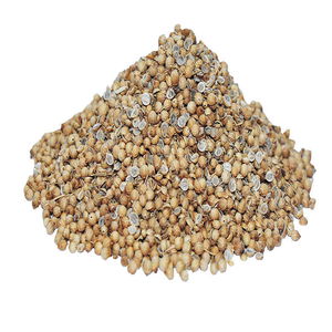 Coriander Natural Grain 1000 Gr Package