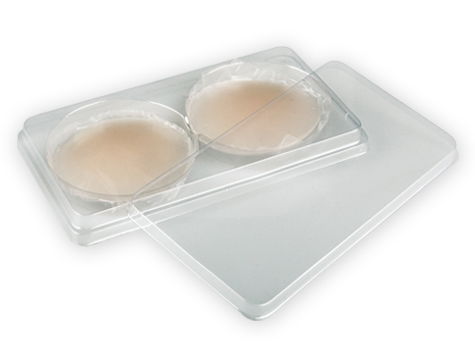 Nipple Concealing Transparent Silicone Pad