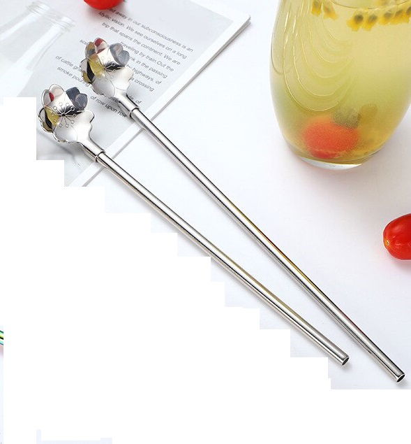 Stainless Metal 2-Piece Straw Brush Set with Spoon