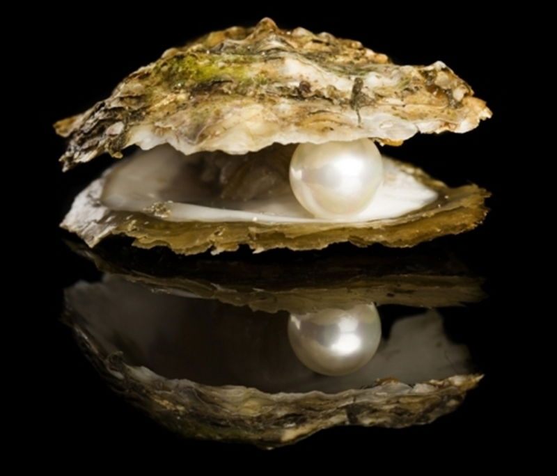 Real Pearl Necklace in Oyster Shell