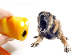 Ultrasonic Dog and Cat Repeller