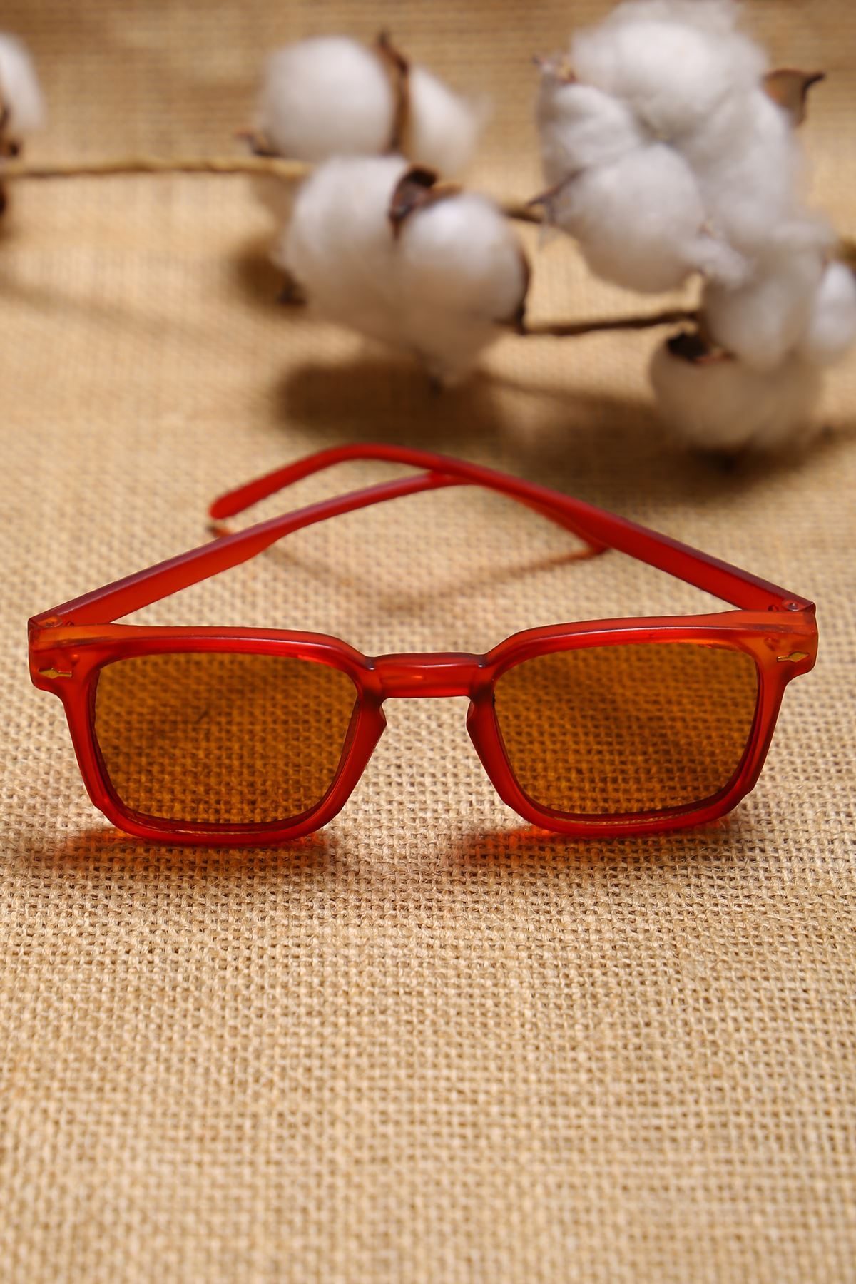 Accessory Glasses Burgundy