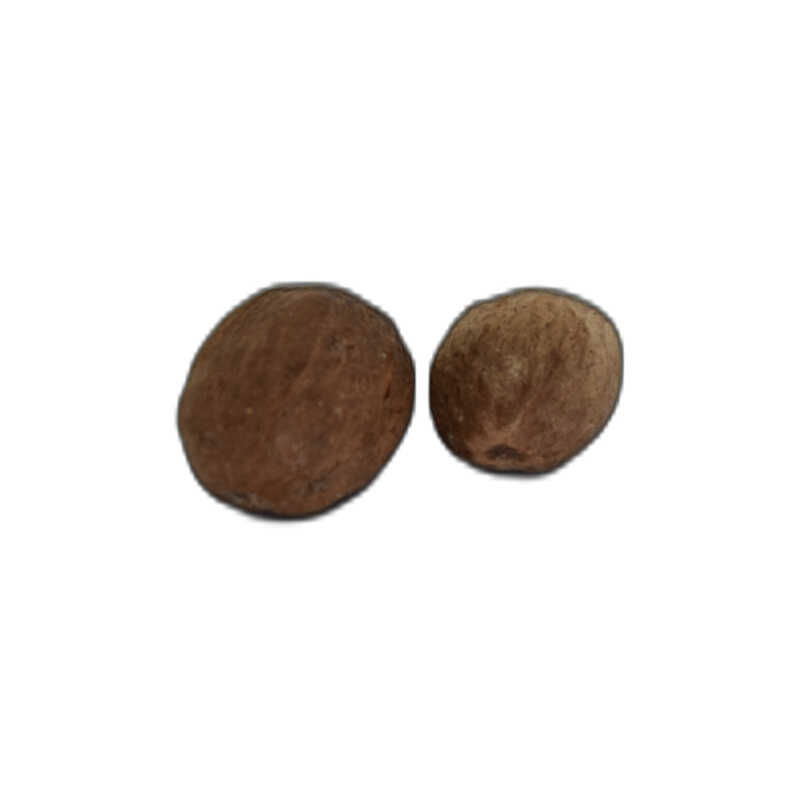 Nutmeg Nutmeg Nutmeg Nutmeg Natural 10 g Pack