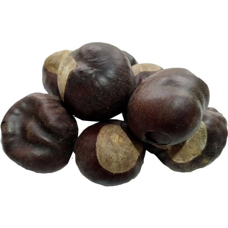 Horse Chestnut Fruit Natural 100 Gr Package