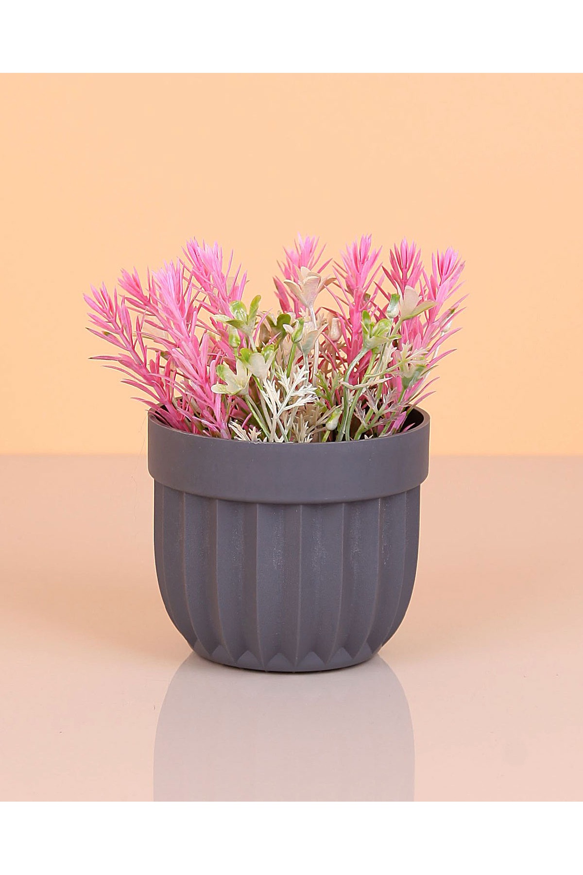 Striped Flower Pot Spiky Flower Turk-5781