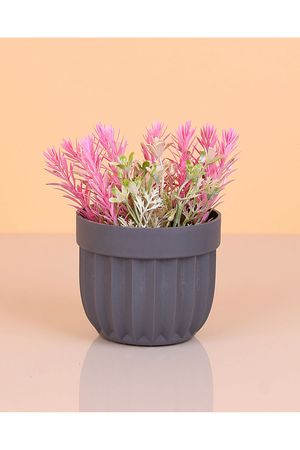 Striped Flower Pot Spiky Flower Turk-5781