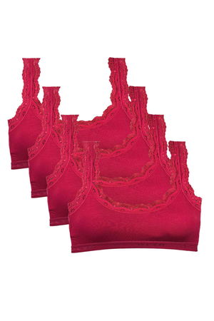 4 Pcs Lace Embroidery Embroidered Padded Bamboo Women's Bustier Burgundy