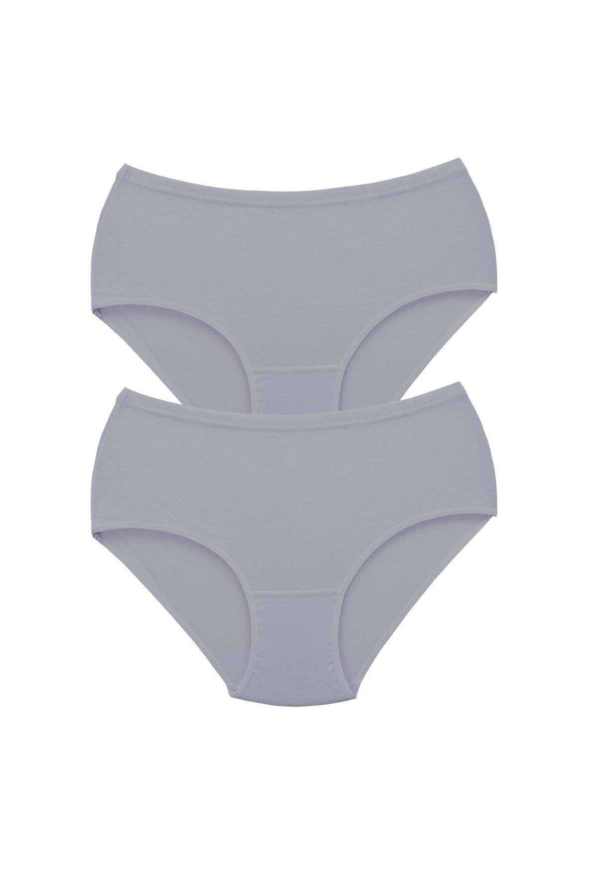 2Pcs Women High Waist Bato Thick Rubber Panties Gray