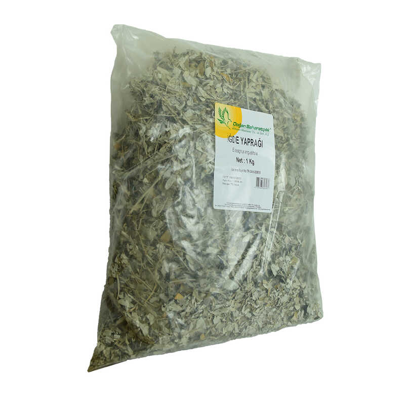 Natural 1000 Gr Packet of Needle Leaves