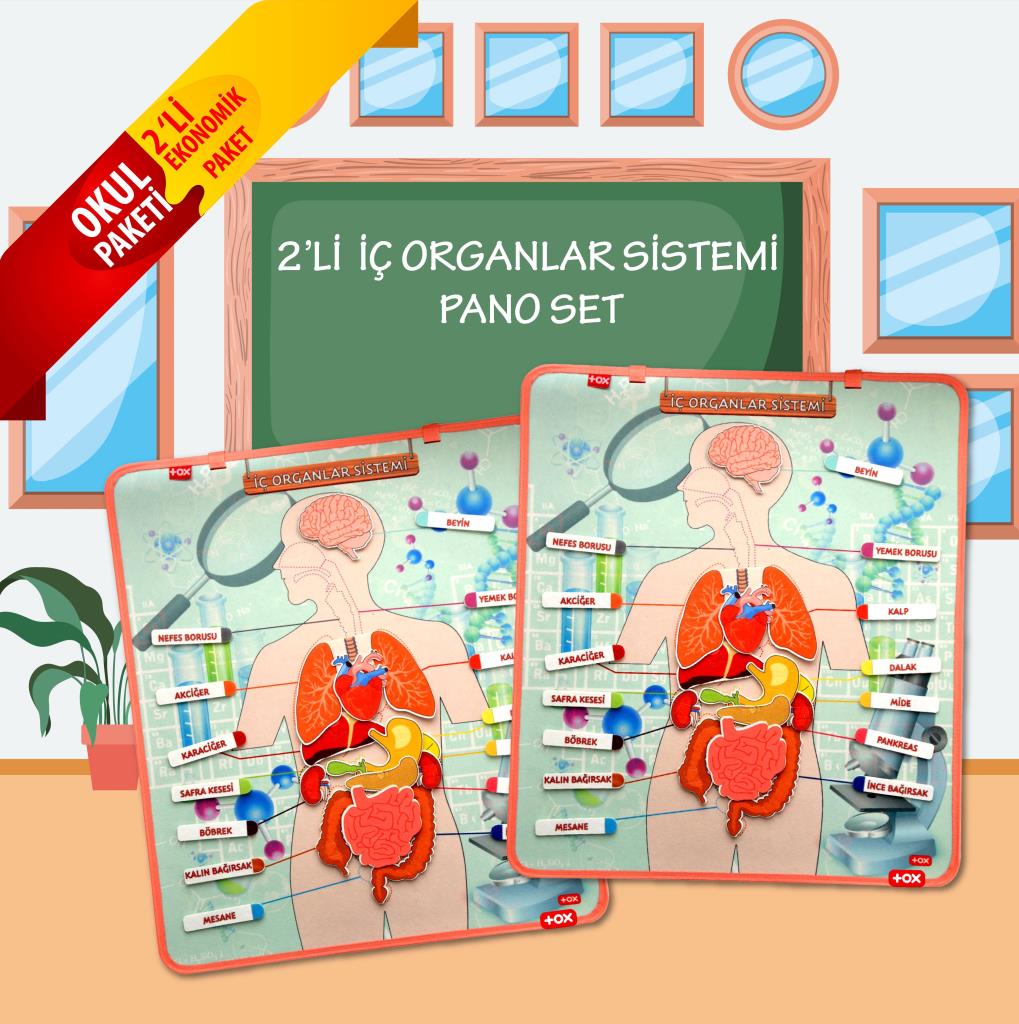 2 Sets - 52 Pieces Internal Organs System Felt Wall Boards , Educational Toy