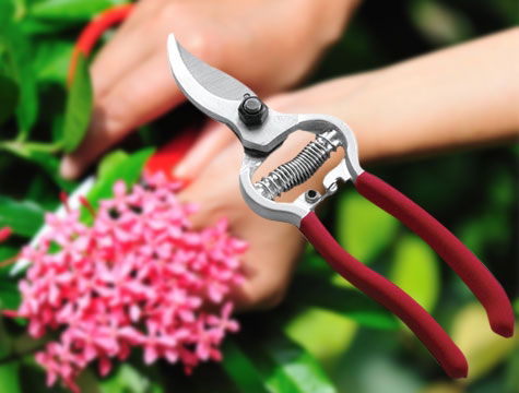 Multipurpose Garden Shears