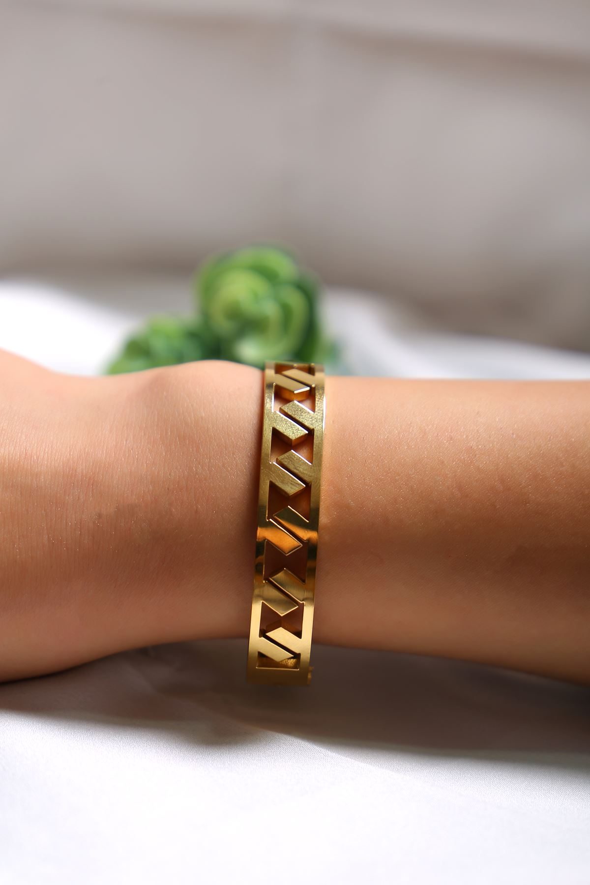 Steel Bracelet Gold12