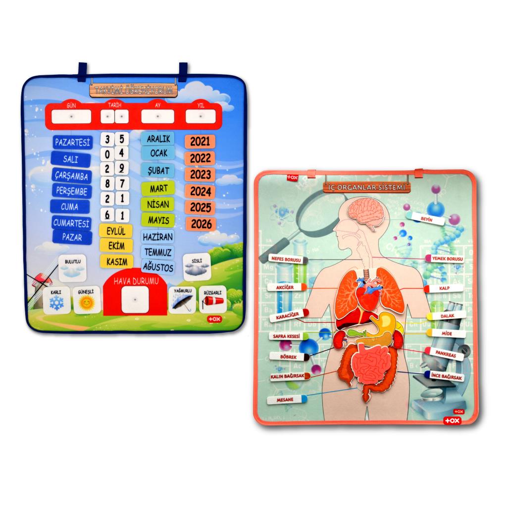 2 Sets - 69 Pieces Learning Internal Organs and Calendar Felt Velcro Wall Boards , Educational Toys