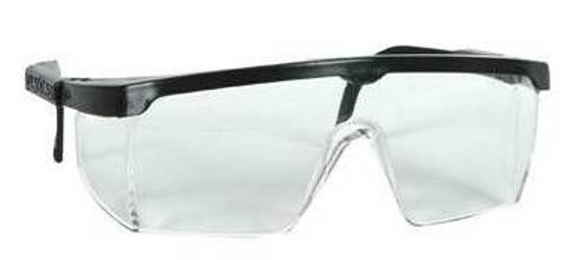 Protected Laboratory Goggles Transparent